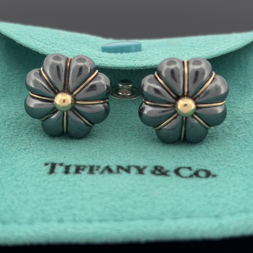Vintage French Tiffany & Co Black Silver & 18k Gold Earrings, Lucien Vachey